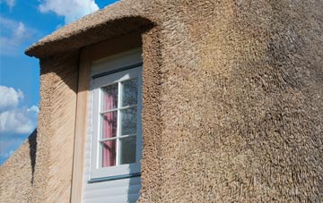 Berrier thatch roof disadvantages