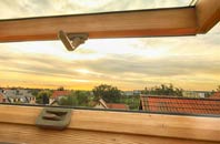 rated Berrier roof window companies